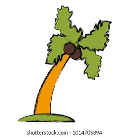 Palm tree isolated