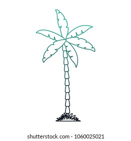 Palm tree isolated