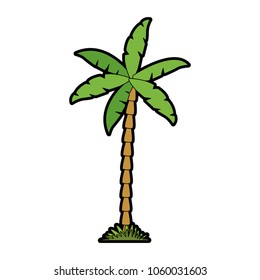 Palm tree isolated