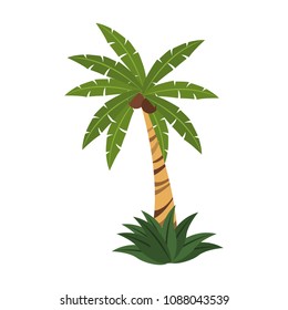 Palm tree isolated