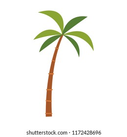 Palm tree isolated