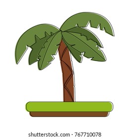 Palm tree isolated
