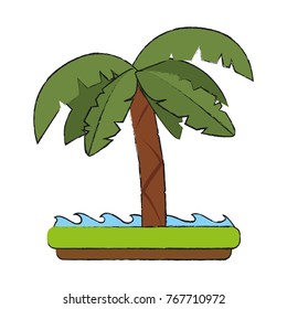 Palm tree isolated