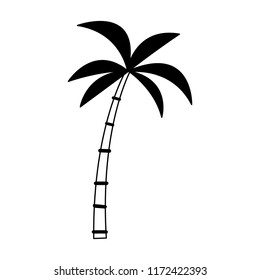 Palm tree isolated in black and white