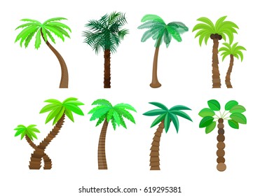 Palm tree isolated in cartoon style set on a white background Vector Illustration. Trees summer sun tropical beach, a natural topic for your projects.