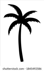 Palm tree, isolated hand drawn black and white vector illustration on white background