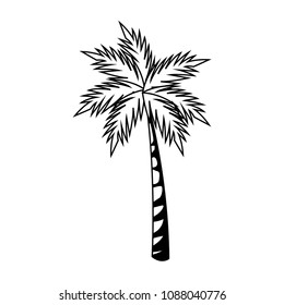 Palm tree isolated on black and white colors