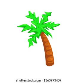 Palm tree isolated on white background
