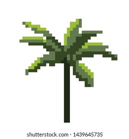 Palm tree. Isolated on white background. Vector illustration. Pixel art.