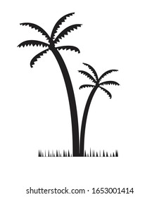 palmera aislada en fondo blanco, ilustración vectorial