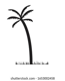 palmera aislada en fondo blanco, ilustración vectorial
