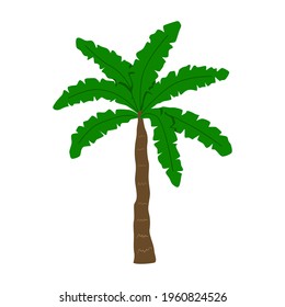 Palm Tree Isolated on white background. Vector illustration
