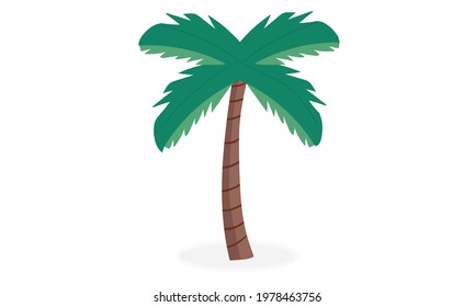 Palm tree isolated on white background. Beautiful vector palm  tree vector 2D illustration, Palm Tree 2d With Green Leaf and Brown Color and Shadow, Palm Vector and 2D illustration