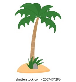 Palm tree isolated on white background. Flat vector illustration