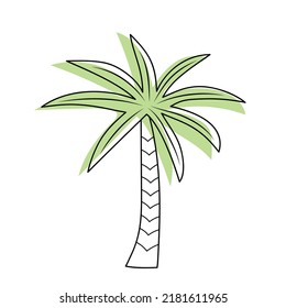 Palm tree isolated on white background. Vector doodle illustration.