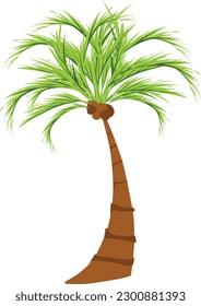 palm tree isolated on white. Vector illustration