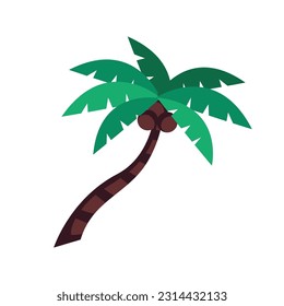 Palm tree isolated on white background. Beautiful palma vectro trees set vector illustration