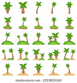 Palm tree isolated on white background. Beautiful palma vectro trees set vector illustration