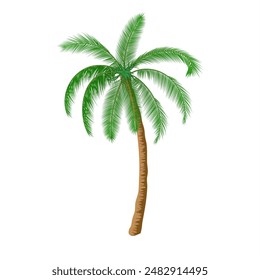 A palm tree isolated on white background. Goconut tree. Vector illustration in flat style