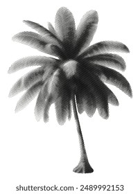 palm tree isolated on white background retro grunge punk halftone dotted effect vintage cut-out black dots collage element for mixed media design tropical summer plant object