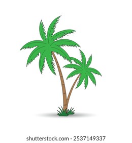 palm tree isolated on white background , Design of palm trees for education poster vector illustration