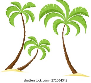 palm tree isolated on white background - vector illustration