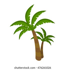 Palm tree isolated on white background. Arecaceae. Restricted to tropical, subtropical, and warm temperate climates. For posters, banners. Part of series of travelling around the world. Vector