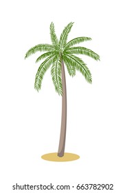 Palm tree isolated on white background. The cartoon icon. Vector illustration.