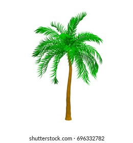 Palm tree. Isolated on white background. 3d Vector illustration. 