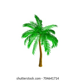 Palm tree. Isolated on white background. 3d Vector illustration. Isometric view.