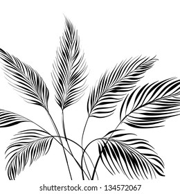 Palm tree isolated over white. Vector illustration.