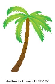 Palm tree, isolated vector illustration