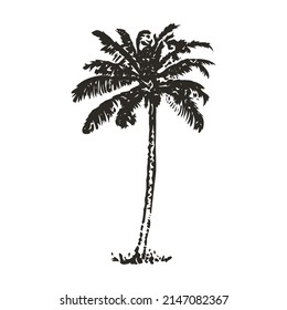 Palm tree isolated vector illustration