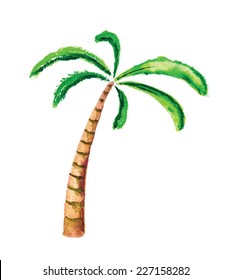 Palm tree, isolated watercolour vector illustration