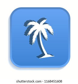 Palm tree isometric icon. Vector illustrations isolated for graphic and web design in 3d style.