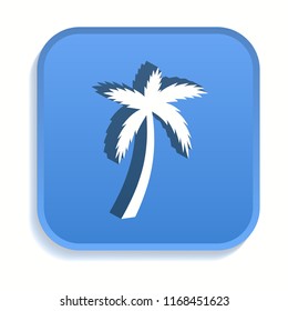 Palm tree isometric icon. Vector illustrations isolated for graphic and web design in 3d style.
