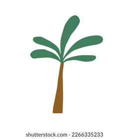 Palm tree, jungle tropical plant. Exotic green leaf and trunk. Childish botanical simple flat graphic vector illustration isolated on white background