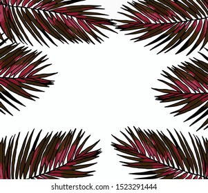 Palm tree Kentia Howea vector graphics backgrounds textures tropical indoor plants hand-drawn
