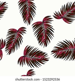 Palm tree Kentia Howea vector graphics backgrounds textures tropical indoor plants hand-drawn