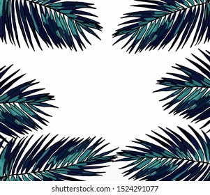 Palm tree Kentia Howea vector graphics backgrounds textures tropical indoor plants hand-drawn