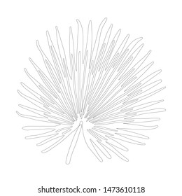 Palm tree leaf in black outline on white background. Vector Illustration