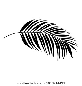 Palm Tree Leaf Black Silhouette Vector Drawing.Tropical leaves stencil shadow isolated on white background. Posters, Cards, Photo,Overlay, Print, Vinyl wall sticker decal. Plotter laser cutting file.