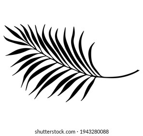 Palm Tree Leaf Black Silhouette Vector Drawing.Tropical leaves stencil shadow isolated on white background. Posters, Cards, Photo,Overlay, Print, Vinyl wall sticker decal. Plotter laser cutting file.