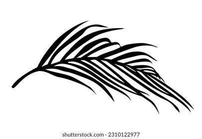 Palm Tree Leaf Black Silhouette Vector Drawing.Tropical exotic leaves stencil shadow isolated on white background.Posters,Cards,Photo,Overlay,Print,Vinyl wall sticker decal.Plotter laser cutting.DIY