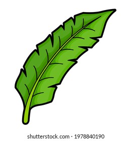 Palm tree leaf cartoon icon. Tropical plant branch pictogram. Jungle foliage. Exotic floral element for your design. Vector botanical illustration isolated on white background.