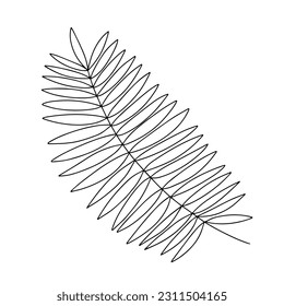 Palmblätterblatt-Dodle-Illustration. handgezeichnetes Palmenblatt mit Vektorgrafik einzeln
