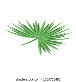 Palm tree leaf icon. Isometric of palm tree leaf vector icon for web design isolated on white background