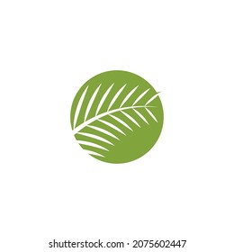 Palm tree leaf  illustration logo template vector design