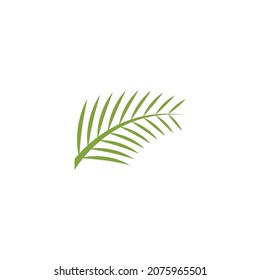 Palm tree leaf  illustration logo template vector design