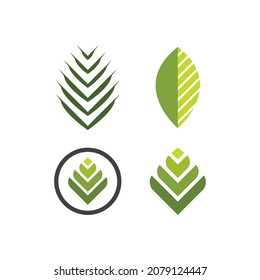 Palm tree leaf  illustration logo template vector design